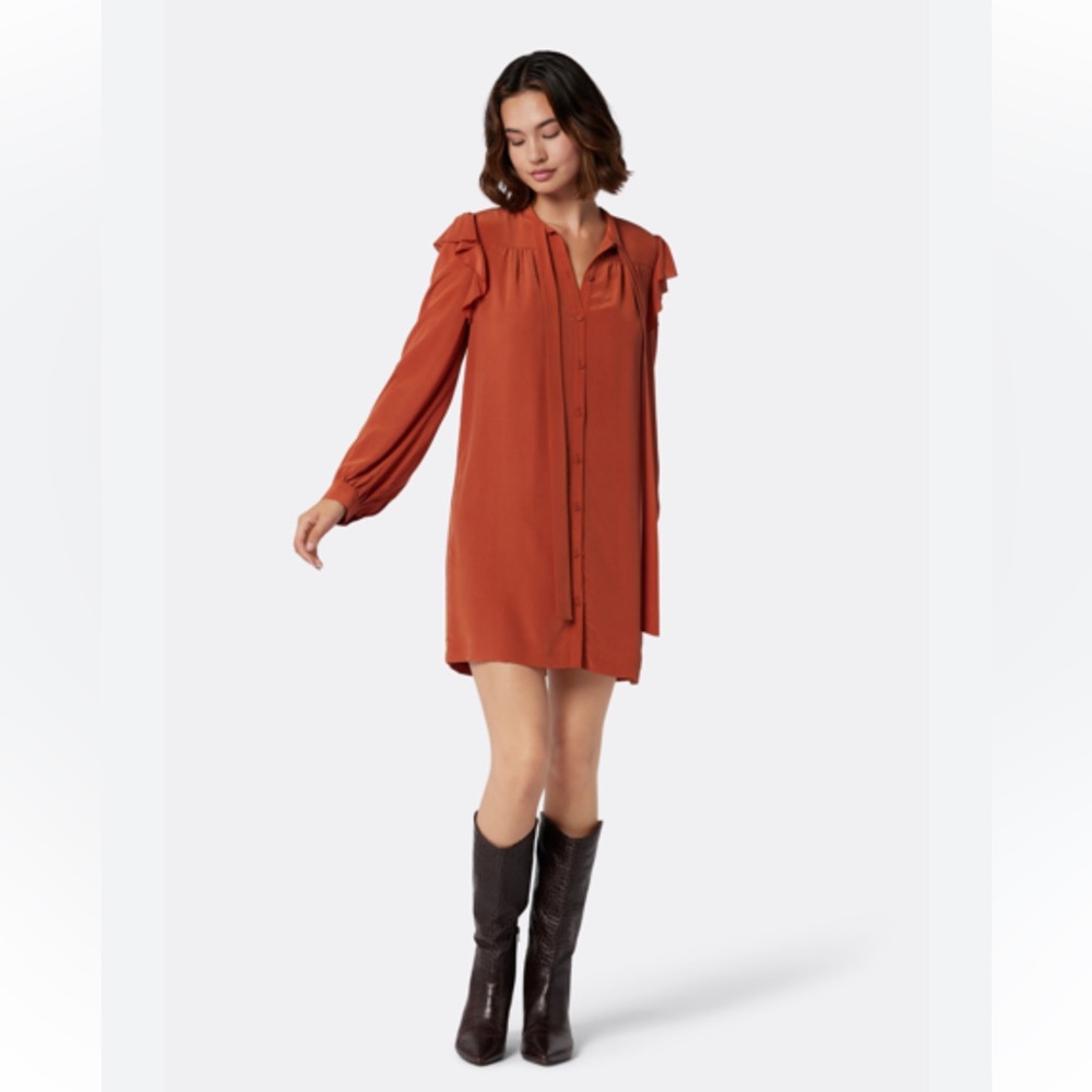 Joie Eloise 100% Silk Arabian Spice Button-Up Ruffle Long Sleeve Dress Medium